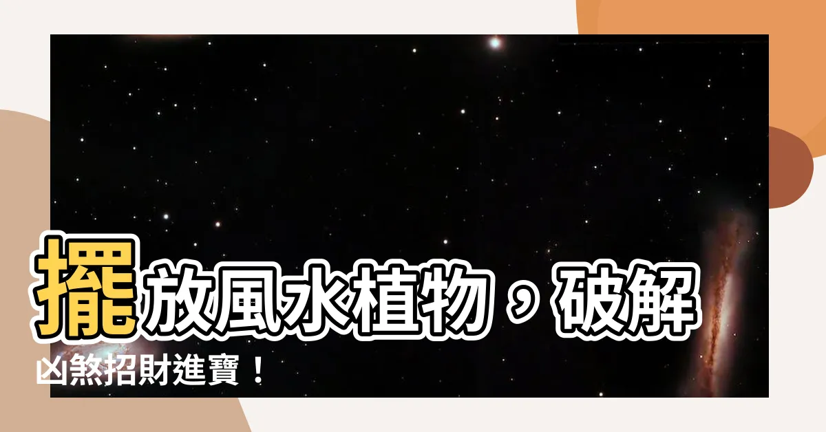 【植物擋煞】擺放風水植物，破解凶煞招財進寶！