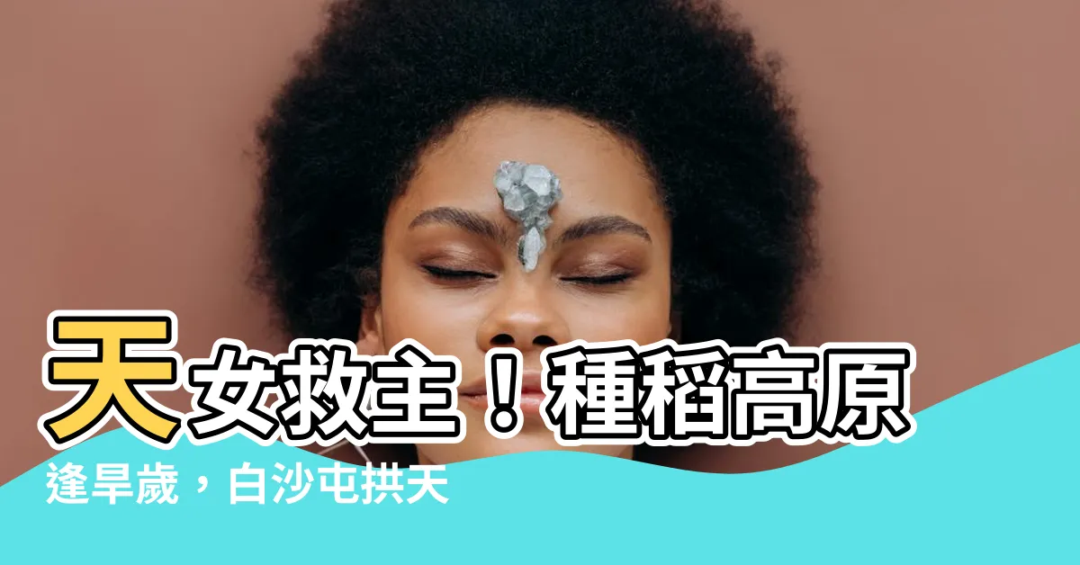 【種稻高原逢旱歲】天女救主！種稻高原逢旱歲，白沙屯拱天宮神籤預言終極驚喜！