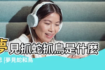 【夢見蛇捉小鳥】夢見抓蛇抓鳥是什麼意思 |夢見蛇和鳥是什麼兆頭 |
