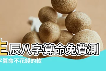 【算命生辰八字不花錢】生辰八字算命免費測八字算命不花錢的軟件 |海玄命理第8期 |教你自己推算生辰八字 |