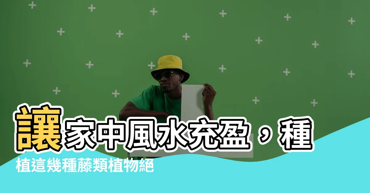 【藤類植物 風水】讓家中風水充盈，種植這幾種藤類植物絕對沒錯！