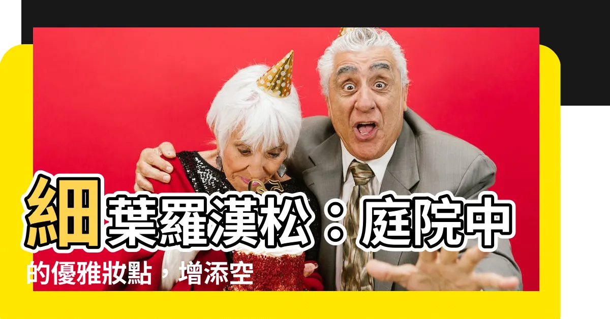 【細葉羅漢松】細葉羅漢松：庭院中的優雅妝點，增添空間綠意與生氣