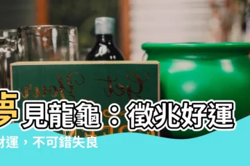 【夢見龍龜】夢見龍龜：徵兆好運與財運，不可錯失良機