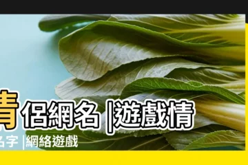 【遊戲情侶網名起名網】情侶網名 |遊戲情侶名字 |網絡遊戲情侶網名 |