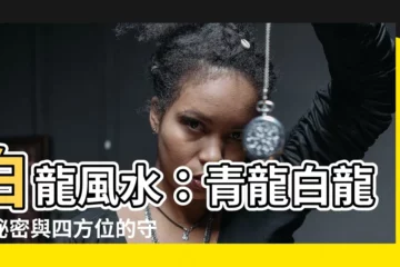 【白龍 風水】白龍風水：青龍白龍的秘密與四方位的守護靈獸