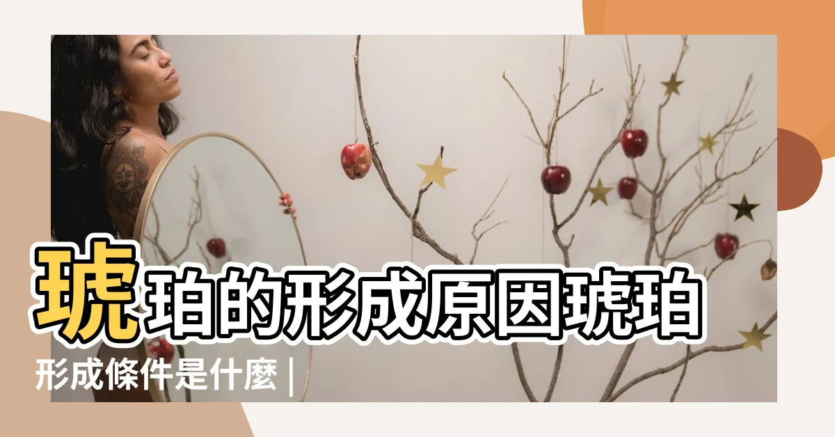 【琥珀的形成】琥珀的形成原因琥珀形成條件是什麼 |真正的琥珀是怎麼形成的 |來看琥珀形成的過程 |