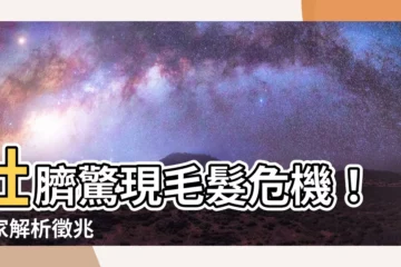 【肚臍突然長毛】肚臍驚現毛髮危機！專家解析徵兆