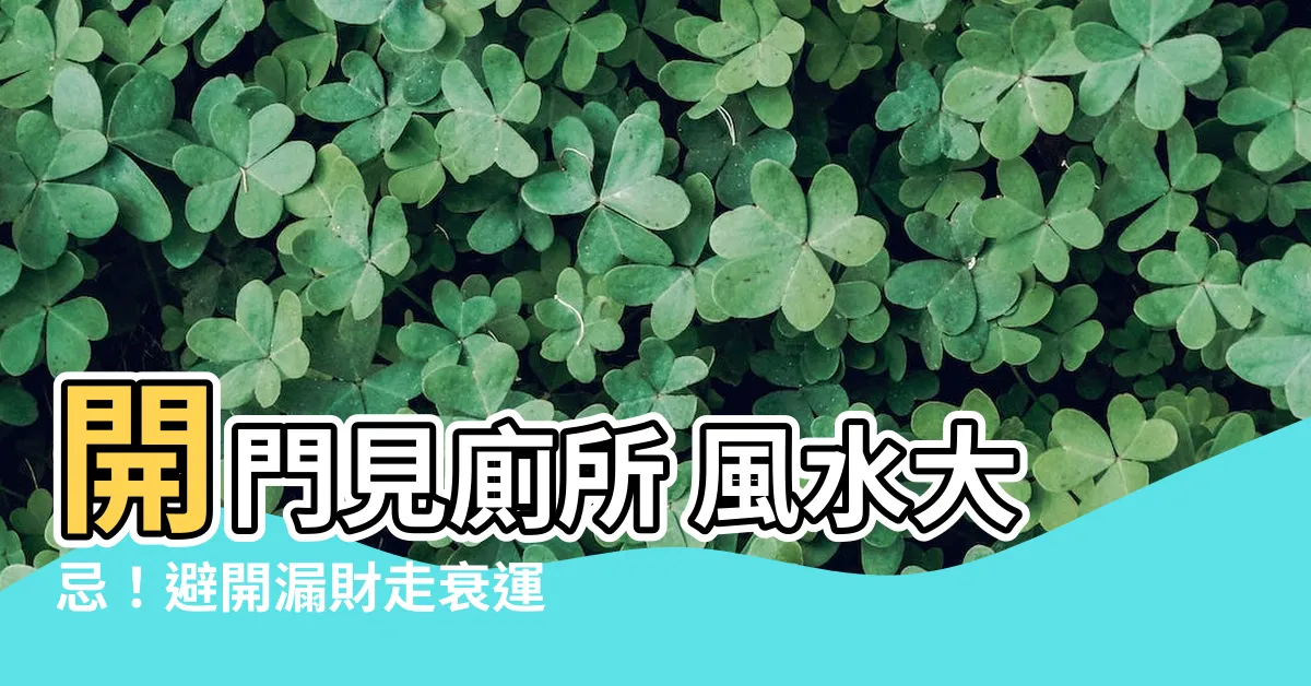 【開門見廁所 風水】開門見廁所 風水大忌！避開漏財走衰運2秘訣