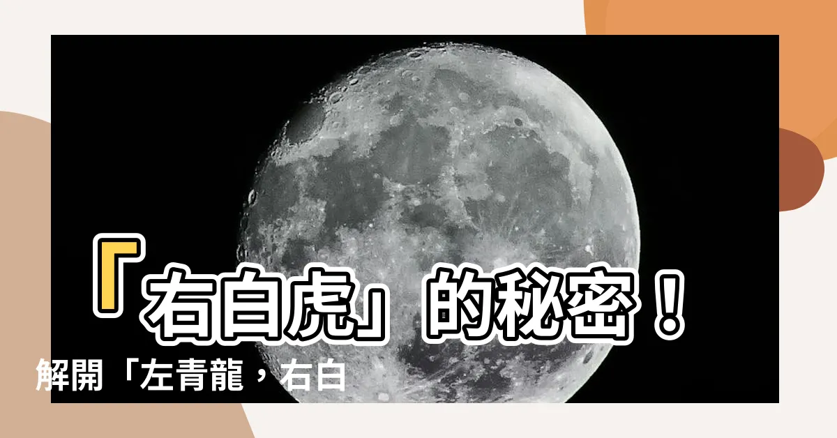 【右白虎】「右白虎」的秘密！解開「左青龍，右白虎」的謎團！
