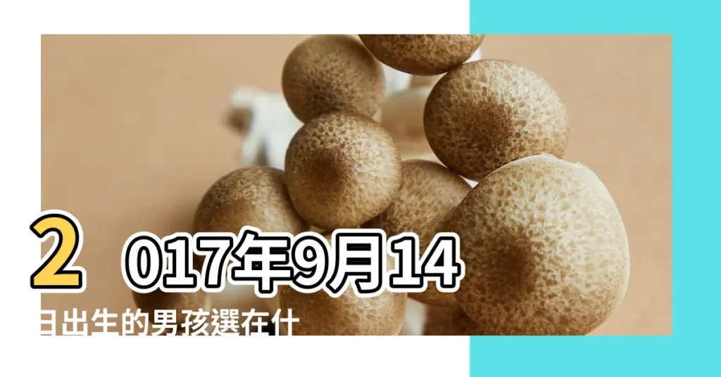 2017年9月14日出生的男孩選在什麼時間比較好 |2017年9月14日出生的人命好嗎 |2017年9月14日出生的寶寶八字起名 |【2017年9月14日出生男孩】