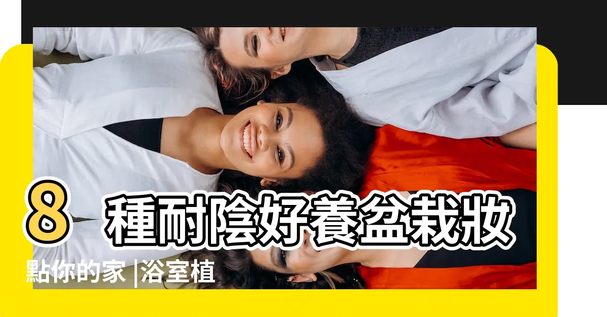 【浴廁植物】8種耐陰好養盆栽妝點你的家 |浴室植物 |黃金葛可以吸收甲醛 |