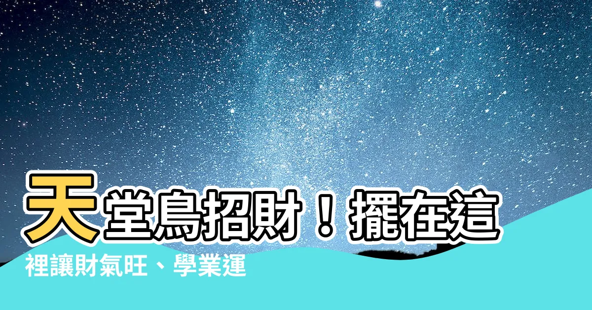 【天堂鳥財位】天堂鳥招財！擺在這裡讓財氣旺、學業運UP UP！