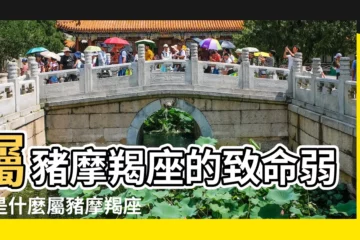 【豬年摩羯座】屬豬摩羯座的致命弱點是什麼屬豬摩羯座有什麼致命弱點 |屬豬摩羯座男生的性格特點 |屬豬摩羯座的性格 |