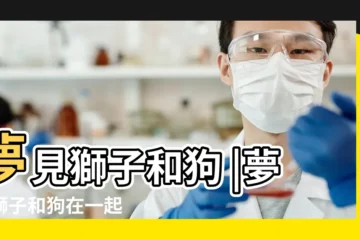 【夢見獅子和兩個狗】夢見獅子和狗 |夢見獅子和狗在一起 |夢見獅子和狗是什麼意思 |