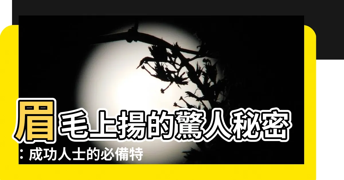 【眉毛往上揚】眉毛上揚的驚人秘密：成功人士的必備特徵