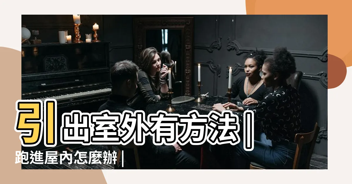【家裡有蜜蜂怎麼趕】引出室外有方法 |跑進屋內怎麼辦 |3種方法來把蜜蜂趕出家 |