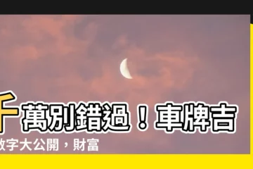 【車牌吉祥數字】千萬別錯過！車牌吉祥數字大公開，財富、平安、愛情一次搞定
