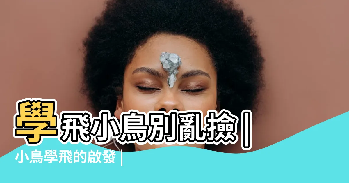【小鳥學飛】學飛小鳥別亂撿 |小鳥學飛的啟發 |雛鳥季注意 |