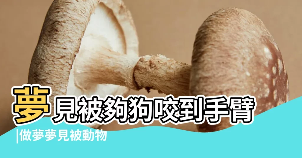 夢見被夠狗咬到手臂 |做夢夢見被動物咬手好不好 |8大類夢境 |【夢見不知道的動物咬朋友手臂】