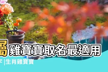 【屬雞寶寶起名屬雞寶寶取名大全】屬雞寶寶取名最適用的字 |生肖雞寶寶取名大全 |屬雞寶寶取名大全 |