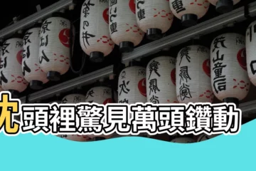 【枕頭蟲】枕頭裡驚見萬頭鑽動！
