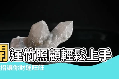 【開運竹 照顧】開運竹照顧輕鬆上手：5招讓你財運旺旺來！
