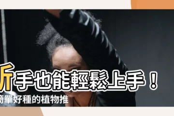 【最好種的植物】新手也能輕鬆上手！最簡單好種的植物推薦，讓你綠意盎然！
