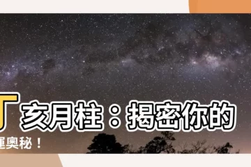 【丁亥 月柱】丁亥月柱：揭密你的命運奧秘！