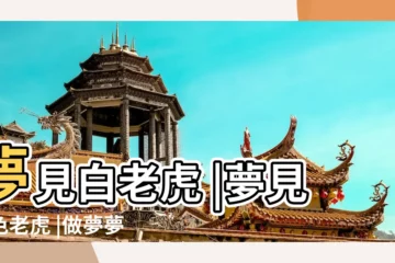 【女人夢見白色老虎】夢見白老虎 |夢見白色老虎 |做夢夢見白色老虎很乖 |