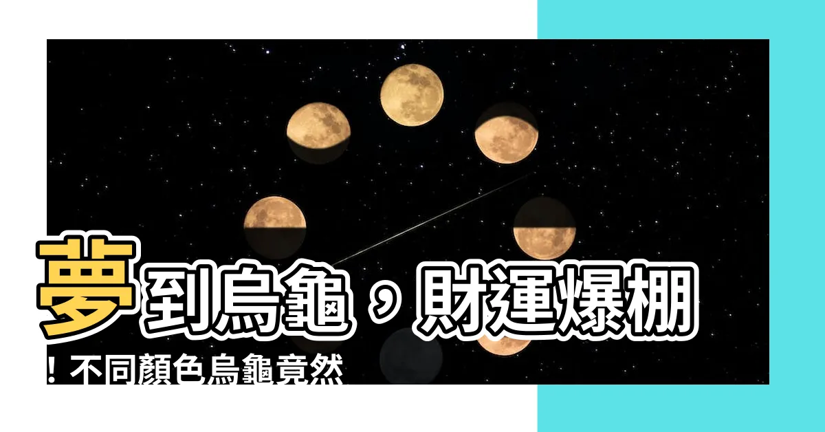 【夢到烏龜是什麼意思】夢到烏龜，財運爆棚！不同顏色烏龜竟然還有這些隱藏含義...