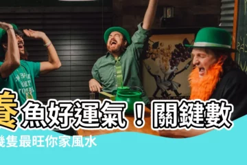 【養魚要養幾隻】養魚好運氣！關鍵數字幾隻最旺你家風水？