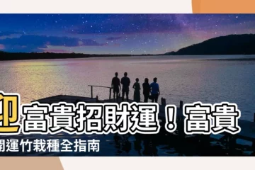 【富貴竹 開運竹】迎富貴招財運！富貴竹開運竹栽種全指南