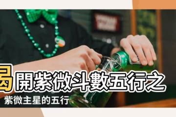 【紫微鬥數五行】揭開紫微鬥數五行之謎！紫微主星的五行歸屬大公開