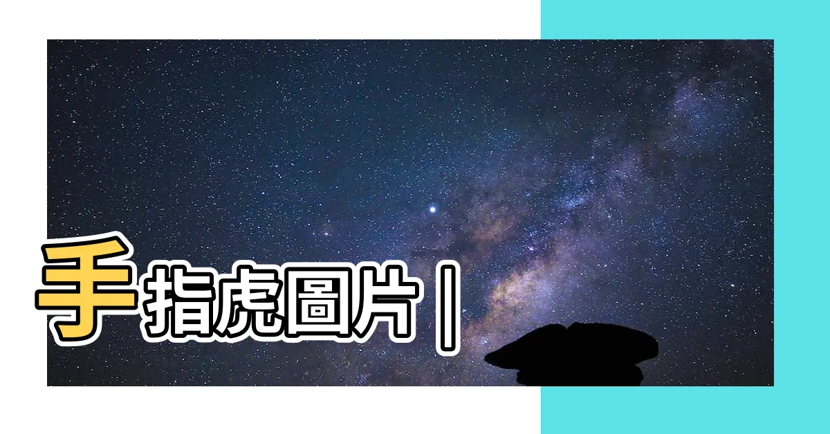 【虎指】手指虎圖片 |