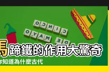 【馬蹄鐵 作用】馬蹄鐵的作用大驚奇！你知道為什麼古代馬兒都要穿嗎？