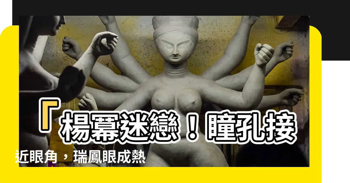 【瑞鳳眼】「楊冪迷戀！瞳孔接近眼角，瑞鳳眼成熱門眼型！」
