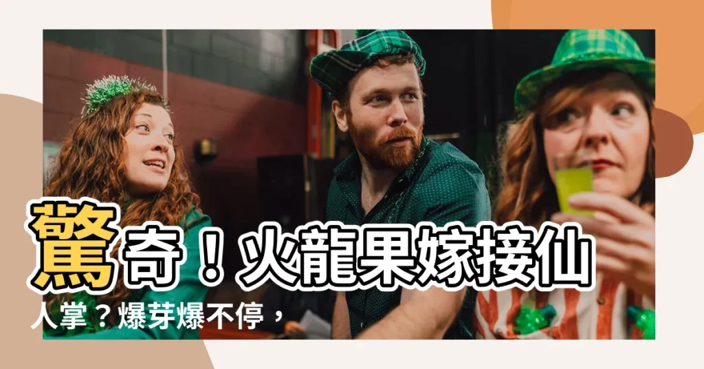 【火龍果嫁接仙人掌】驚奇!火龍果嫁接仙人掌?爆芽爆不停,讓你嘆為觀止!