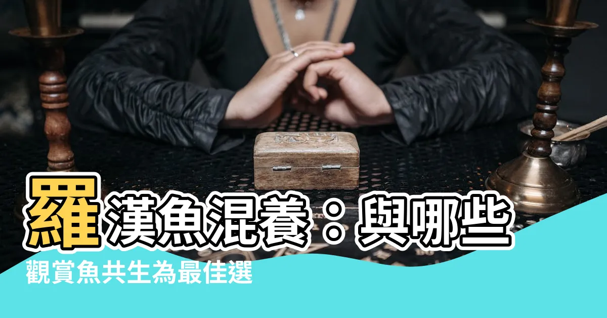 【羅漢混養】羅漢魚混養：與哪些觀賞魚共生為最佳選擇？