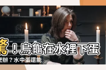 【烏龜生蛋在水裡】驚！烏龜在水裡下蛋怎麼辦？水中蛋還能孵出小烏龜嗎？