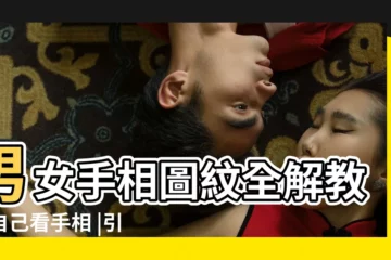 【手相圖力足線在哪個位置】男女手相圖紋全解教你自己看手相 |引用沒事時自己看看手相 |手相智慧線圖解 |