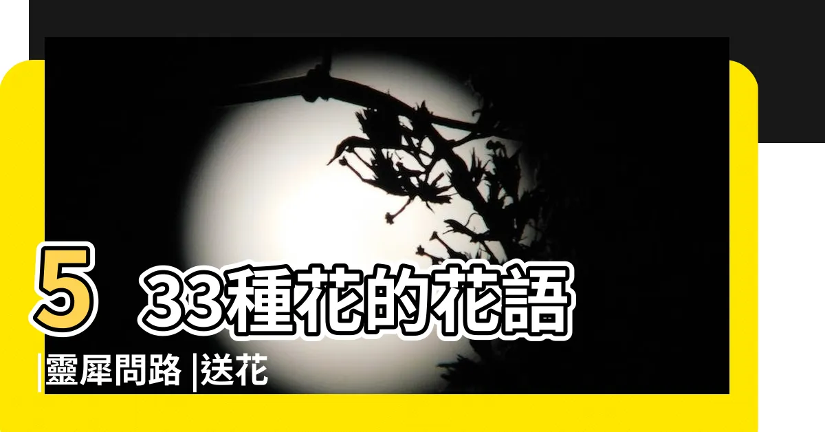 【書帶木花語】533種花的花語 |靈犀問路 |送花應該瞭解的花語意義 |