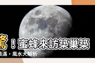 【蜜蜂 築巢 風水】驚！蜜蜂來訪築巢築好築滿，風水大解析：旺宅還是漏財？