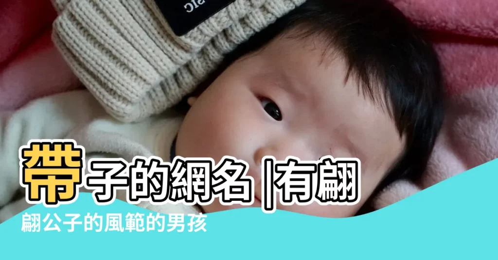 帶子的網名 |有翩翩公子的風範的男孩名 |帶公的網名 |【帶翩翩公子的網名】