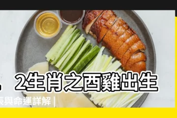 【屬雞的中午11 30出生的】12生肖之酉雞出生時辰與命運詳解 |不同的時辰命運也不同 |屬雞的幾點出生最好 |