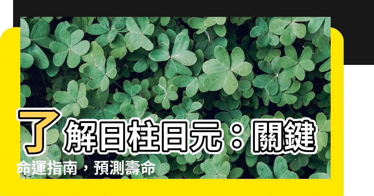 【日柱日元】瞭解日柱日元：關鍵命運指南，預測壽命與運勢