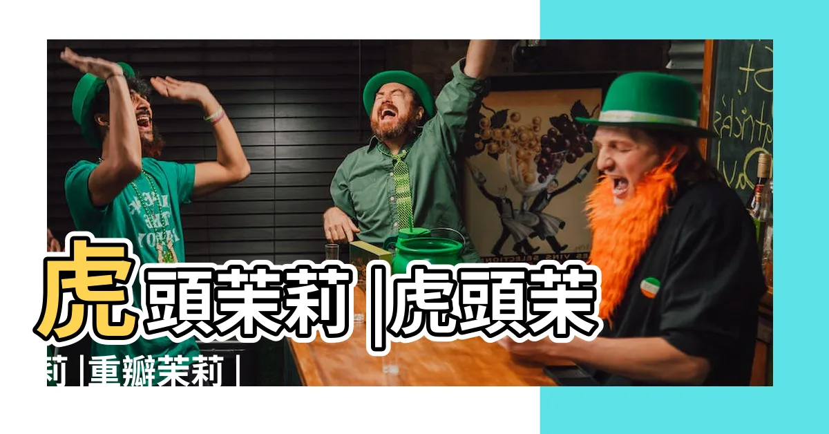 【虎頭茉莉】虎頭茉莉 |虎頭茉莉 |重瓣茉莉 |