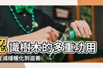 【樹木的功用】認識樹木的多重功用：從減緩暖化到滋養環境