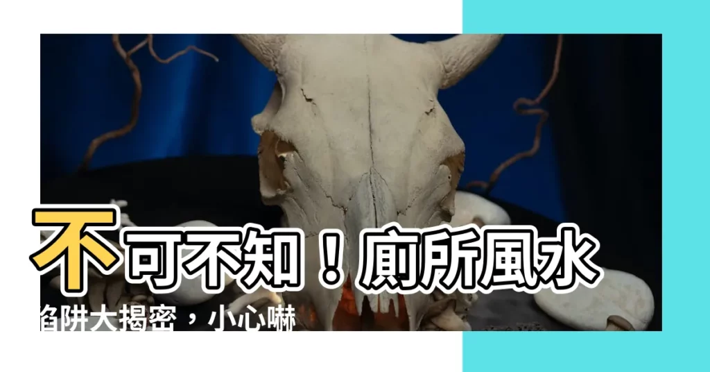 【廁所風水】不可不知！廁所風水陷阱大揭密，小心嚇跑財神、引發夫妻猜忌