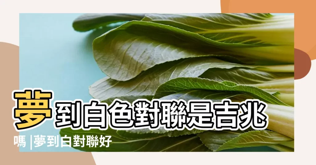 夢到白色對聯是吉兆嗎 |夢到白對聯好不好 |夢到白色對聯是吉兆嗎 |【周公解夢白對聯】