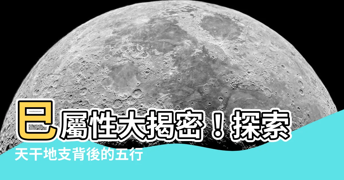 【巳屬性】巳屬性大揭密！探索天干地支背後的五行奧秘